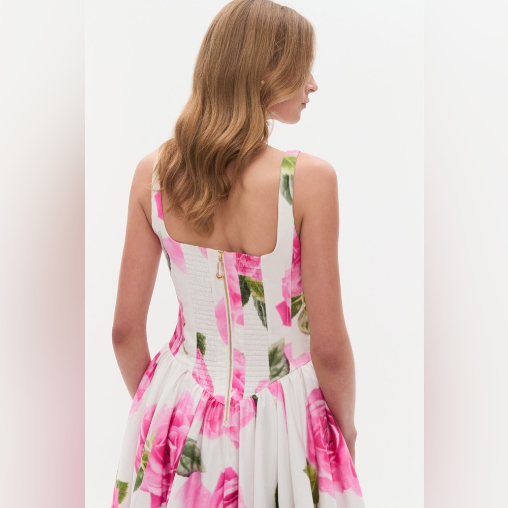 Aje Alani Rose Floral-Print Corset Cotton Ball Gown Bubble Hem AU6/US2 - Picture 5 of 13